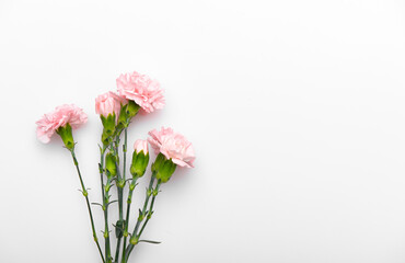 Close up photo of a pink carnation bouquet isolated over white background