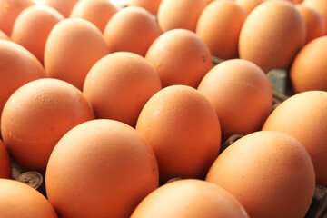 close up of eggs in a bowl.