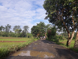 road in the countryside