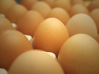Slective focus of fresh chicken eggs on trays for sale at a supermarket ready to be picked up by a customer