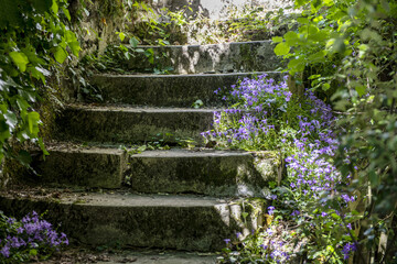 escalier en pierre avec fleurs - 418314015