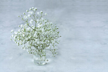 delicate bouquet of gypsophila on a light background, selective focus