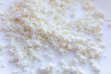 Fresh milk curd as background.