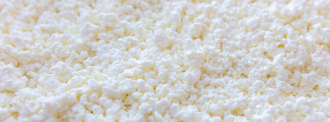Fresh milk curd as background.