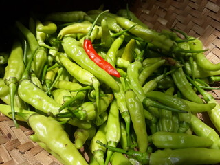 green and red peppers