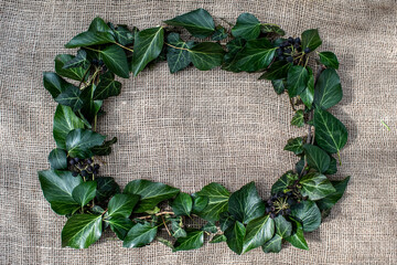 ivy decoration frame