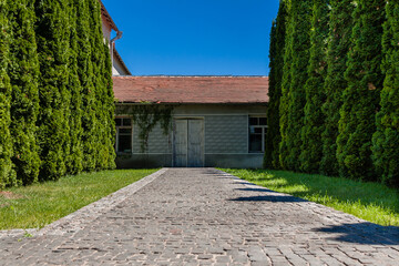 Alley of trees leading to the house with old doors