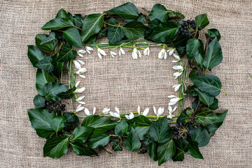 ivy decoration frame