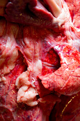 A Close Up of Lungs, Heart and Windpipe Raw Meat of a Sheep