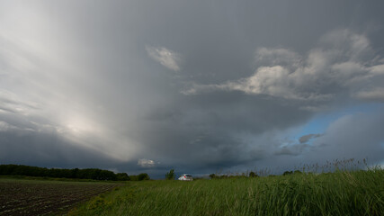 Rain clouds are a strip of deciduous forest and green grass at the edge of a field and a white car, panoramic landscape.