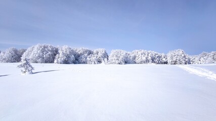 Neige dans les Vosges, Hohneck