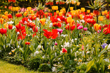 Fototapeta premium spring garden