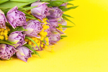 Bouquet of lilac Double Flag tulips and mimosas on yellow background, copy space, side view, closeup. March 8, February 14, birthday, Valentine's, Mother's, Women's day celebration, spring concept