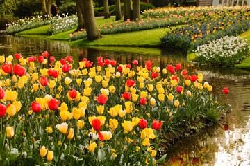 spring garden