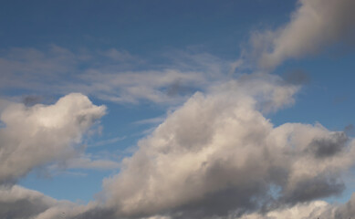 Obraz premium clouds looks like dolphin 