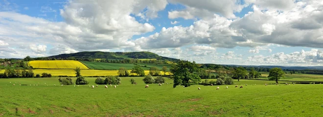 Tableaux ronds sur aluminium Paysage Summertime landscape in the English countryside