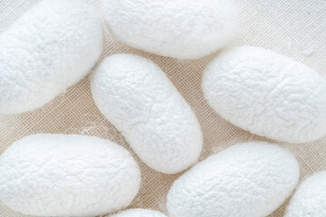 background with white silkworm cocoons shells, source of silk fabric