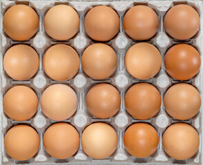 Eggs in carton. Eggs in box. Healthy Farm Food in eco packaging.