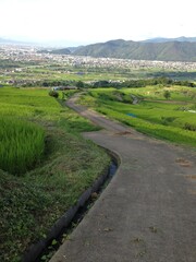 日本の棚田と街並み