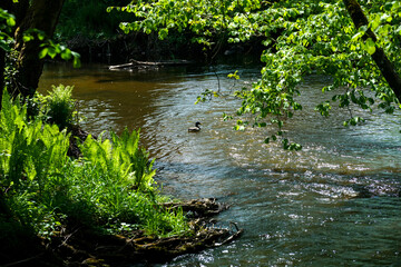 Landscape photographs in the Bavarian Upper Palatinate and Lower Bavaria between Regensburg and Straubing