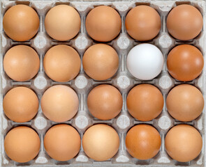 Eggs in carton. Eggs in box. Healthy Farm Food in eco packaging. One white egg among the dark ones, concept.