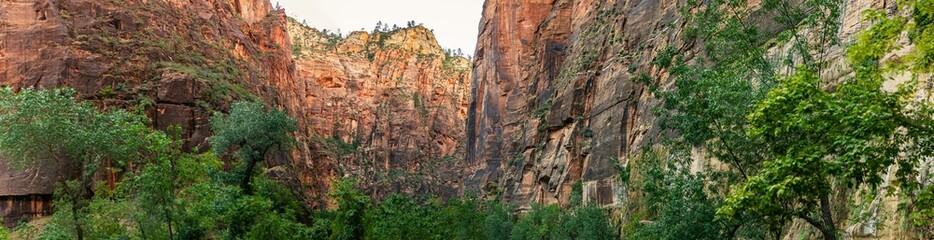 Fototapeta na wymiar Panorama shot of green trees and red sandstone walls of deep canyon in Zion national park in Utah, america