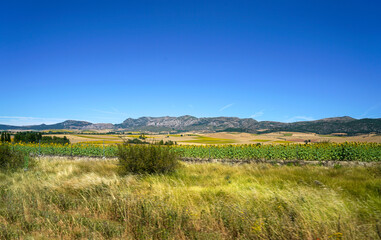 Landscape photographs in the Bavarian Upper Palatinate and Lower Bavaria between Regensburg and Straubing