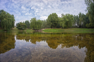Beautiful summer landscape in a park with a pond. The beautiful cloudy sky and green trees are reflected in the calm water.