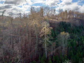 Landscape photographs in the Bavarian Upper Palatinate and Lower Bavaria between Regensburg and Straubing