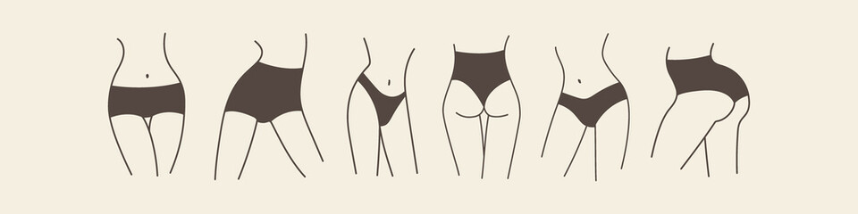 Beautiful slender female hips, legs and waist in various poses. Types of women's panties on sexy bodies. Outline vector illustration EPS 10.