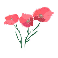 Poppies flowers red with pink with green leaves, blank for a postcard