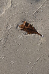 Beaches in Thailand without tourists