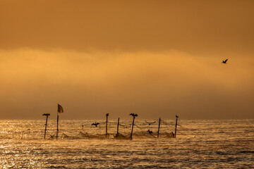 Fishing nets in the sea at sunrise with yellow light and fog in background