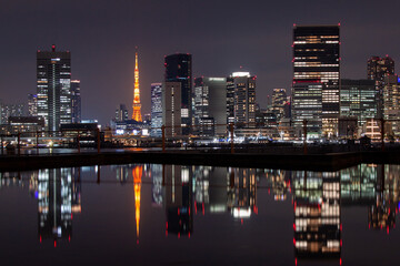 Fototapeta na wymiar Night Tokyo Reflected on the Surface of the Water