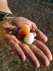 Bright stones pellets in a man's palm
