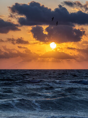 Waves of a sea at sunrise with colourful clouds in background. Vertical view