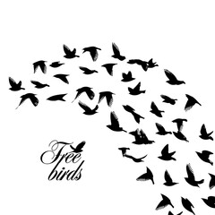 A large flock of flying birds. Free birds. Vector illustration