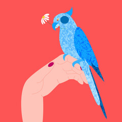 A cute and quite simple illustration with a picture of a hand on which a parrot with a daisy is sitting. It can be used as a base for a postcard or print.