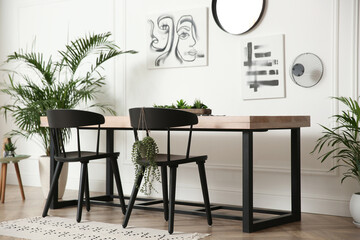 Stylish living room interior with beautiful house plants