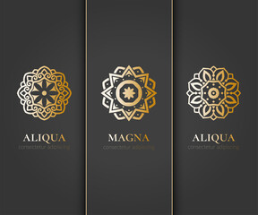 Vector set of emblem. Elegant, classic elements. Can be used for jewelry, beauty and fashion industry. Great for logo, monogram, invitation, flyer, menu, brochure, background, or any desired idea.