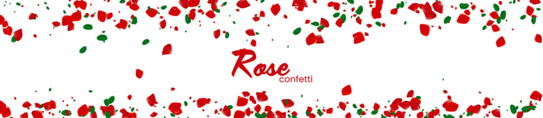 Rose confetti on white background. Ped flowers blossom. Romantic creative composition. Love concept.