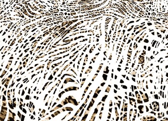 Seamless animal print, leopard, zebra, tiger pattern