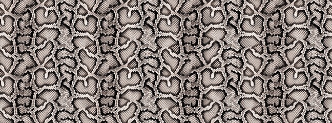 Seamless snake skin, python pattern