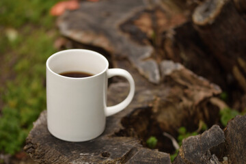 アウトドア、切り株の上に置いたコーヒー