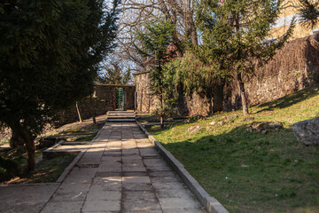 path in the garden