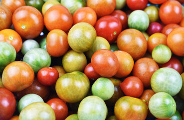 tomatoes and cucumbers