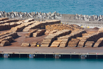 Industrial harbour with cargo ship and tree trunks