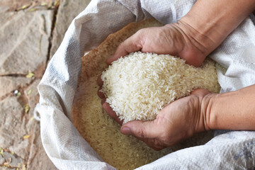 rice in hands