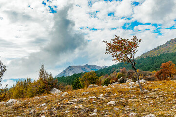 mountains and forests of crimea on an autumn day