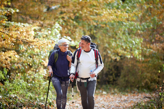 Elder Couple Hiking In Forest